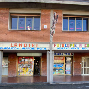 Landini